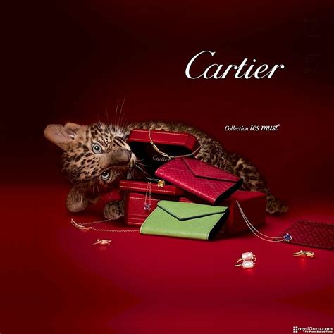 cartier photoshoot|cartier wallpaper 4k.